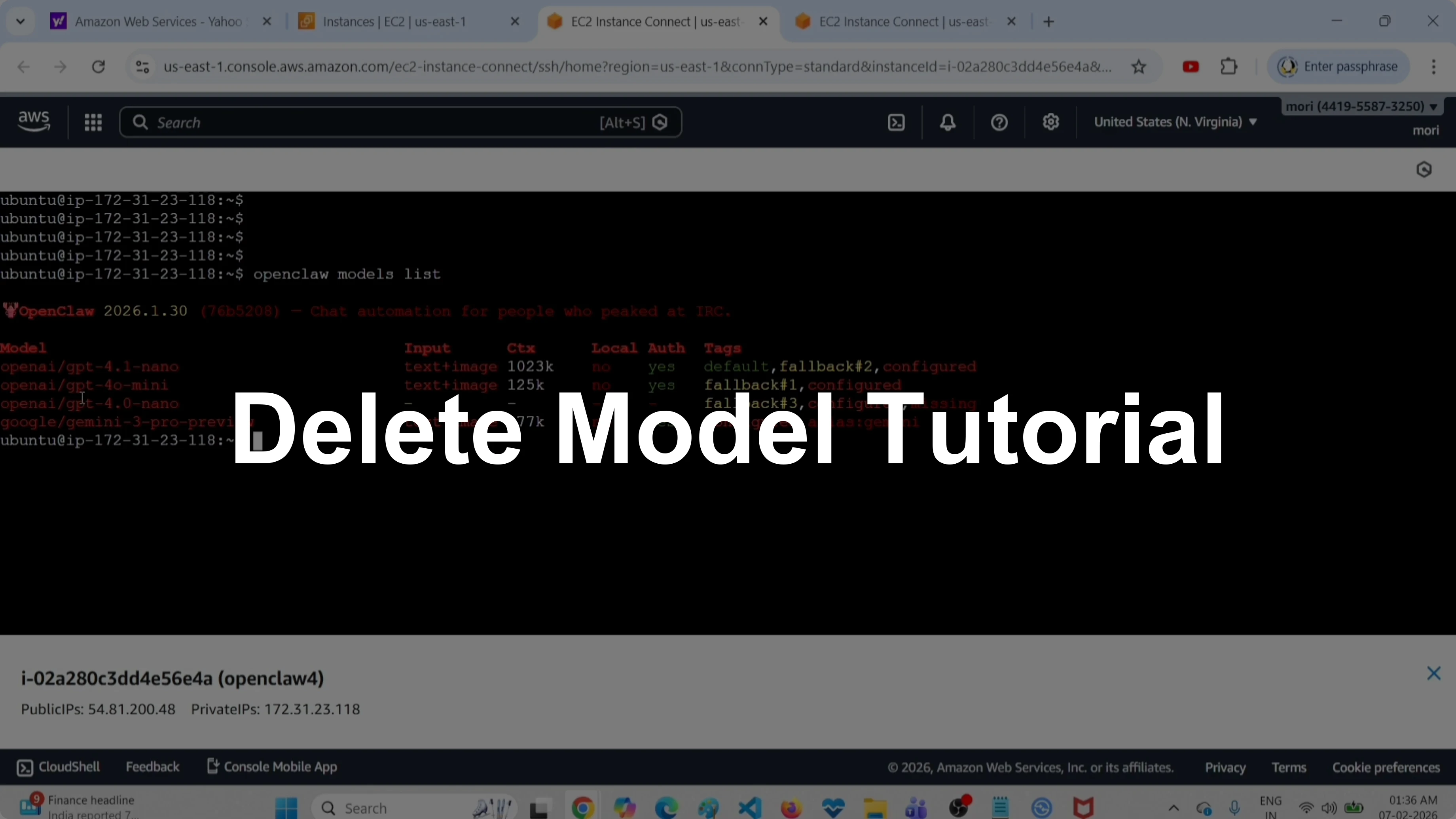 How to Delete a Model from OpenClaw, ClawdBot, and MoltBot?