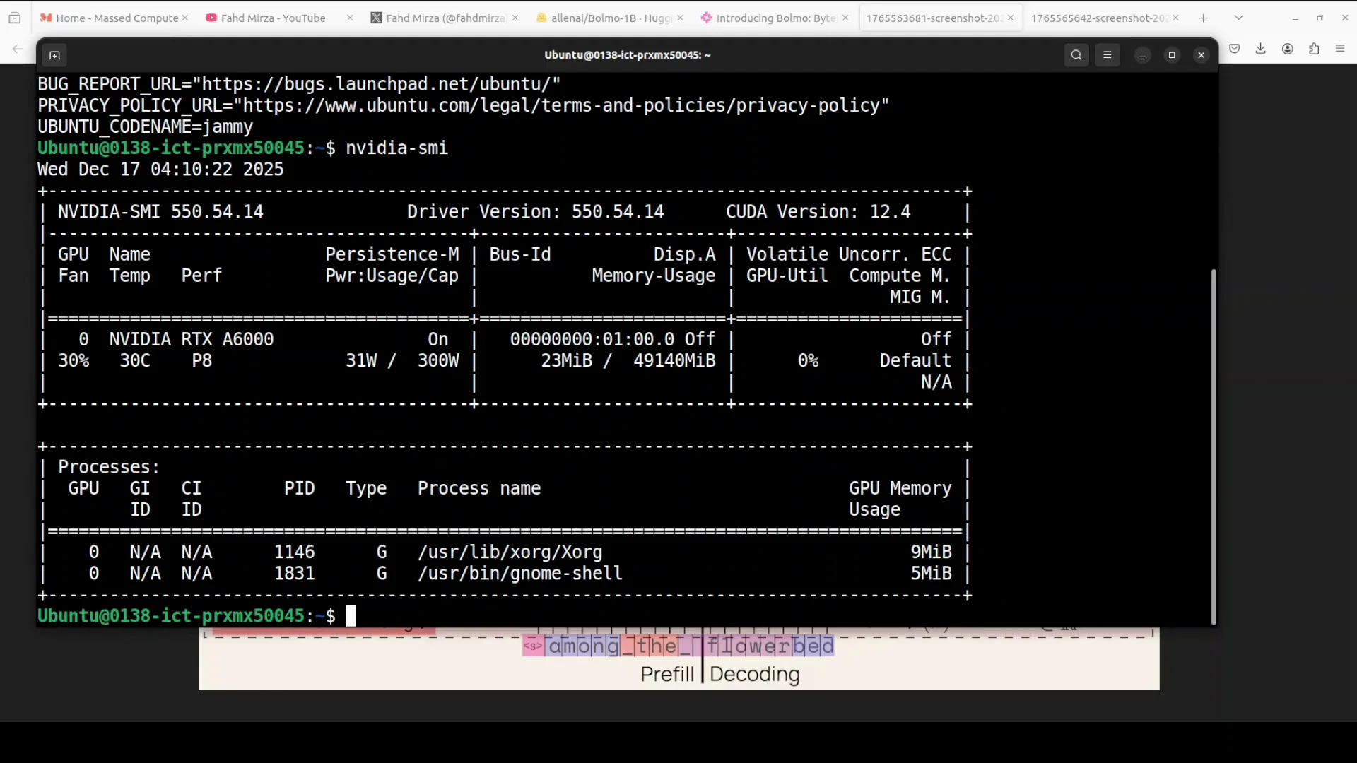 Bolmo 1B Byte‑Level LLM: Setup Tutorial + Hands‑On Demo screenshot 3