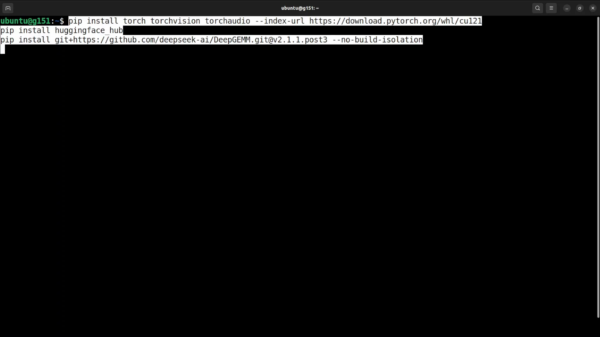 Local DeepSeek V3.2 Special Setup: vLLM + Transformers screenshot 4