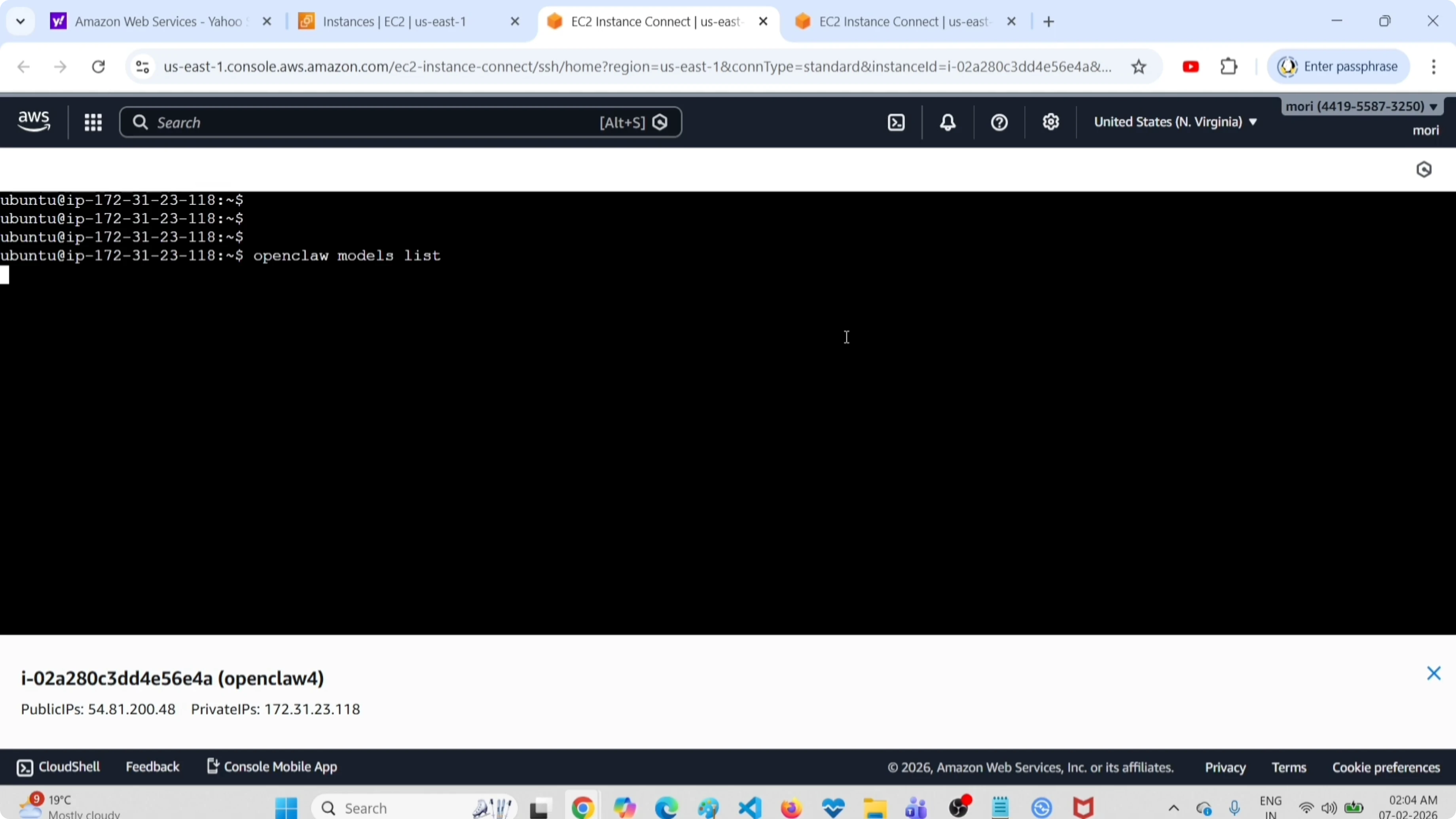 Screenshot from How to Easily Clear All Fallback Models in OpenClaw Tools at 10s