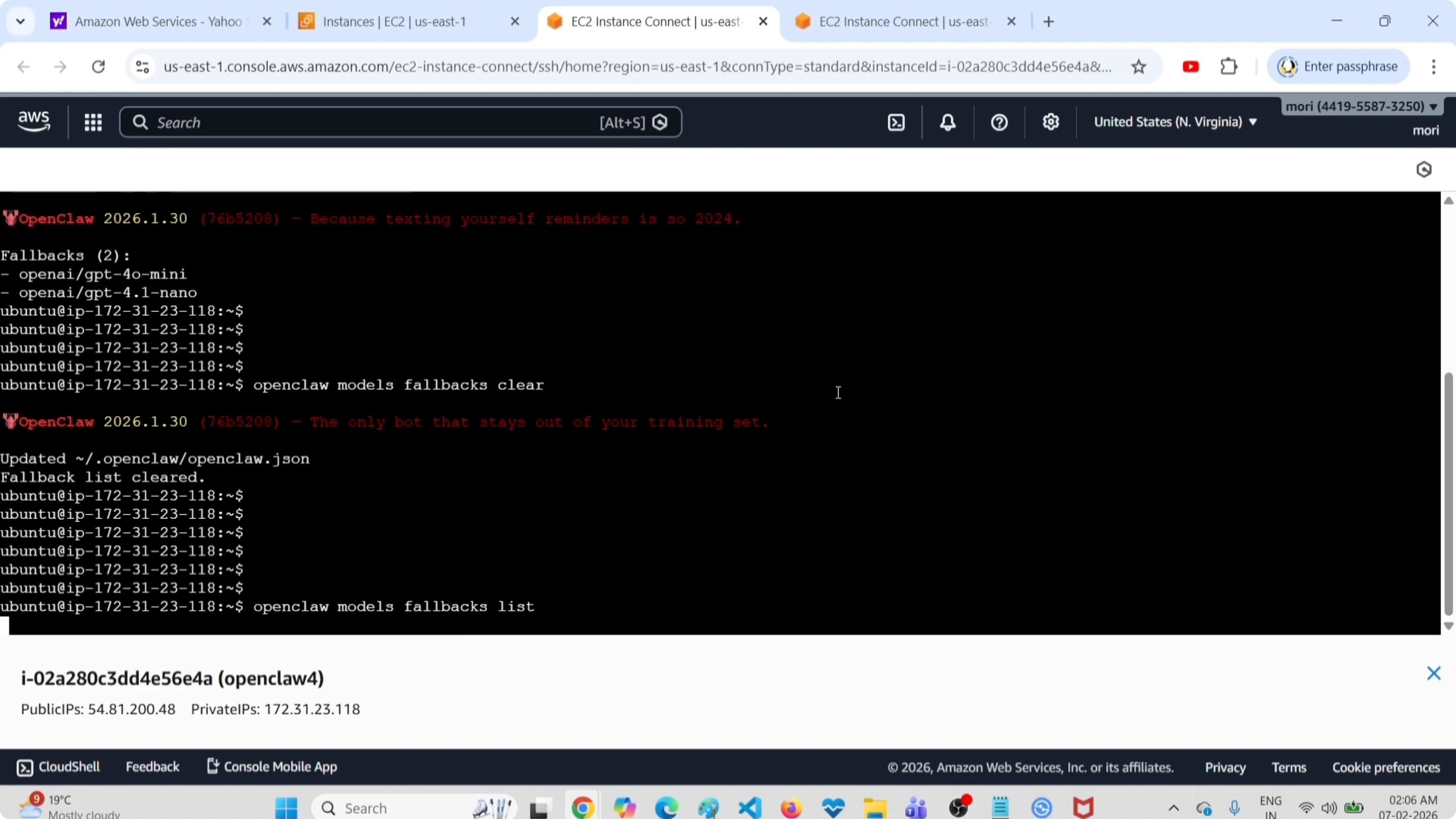 Screenshot from How to Easily Clear All Fallback Models in OpenClaw Tools at 100s