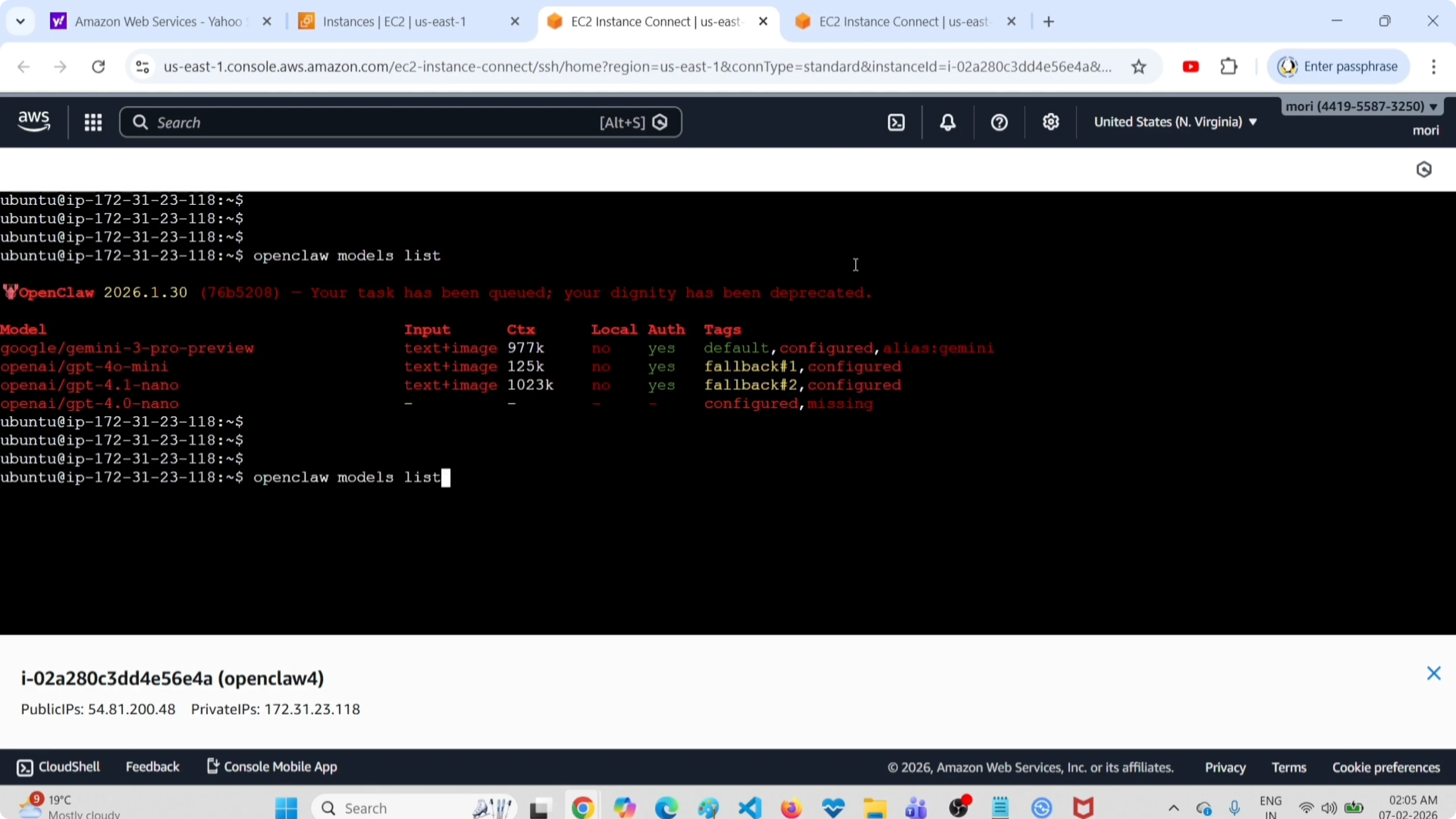 Screenshot from How to Easily Clear All Fallback Models in OpenClaw Tools at 34s
