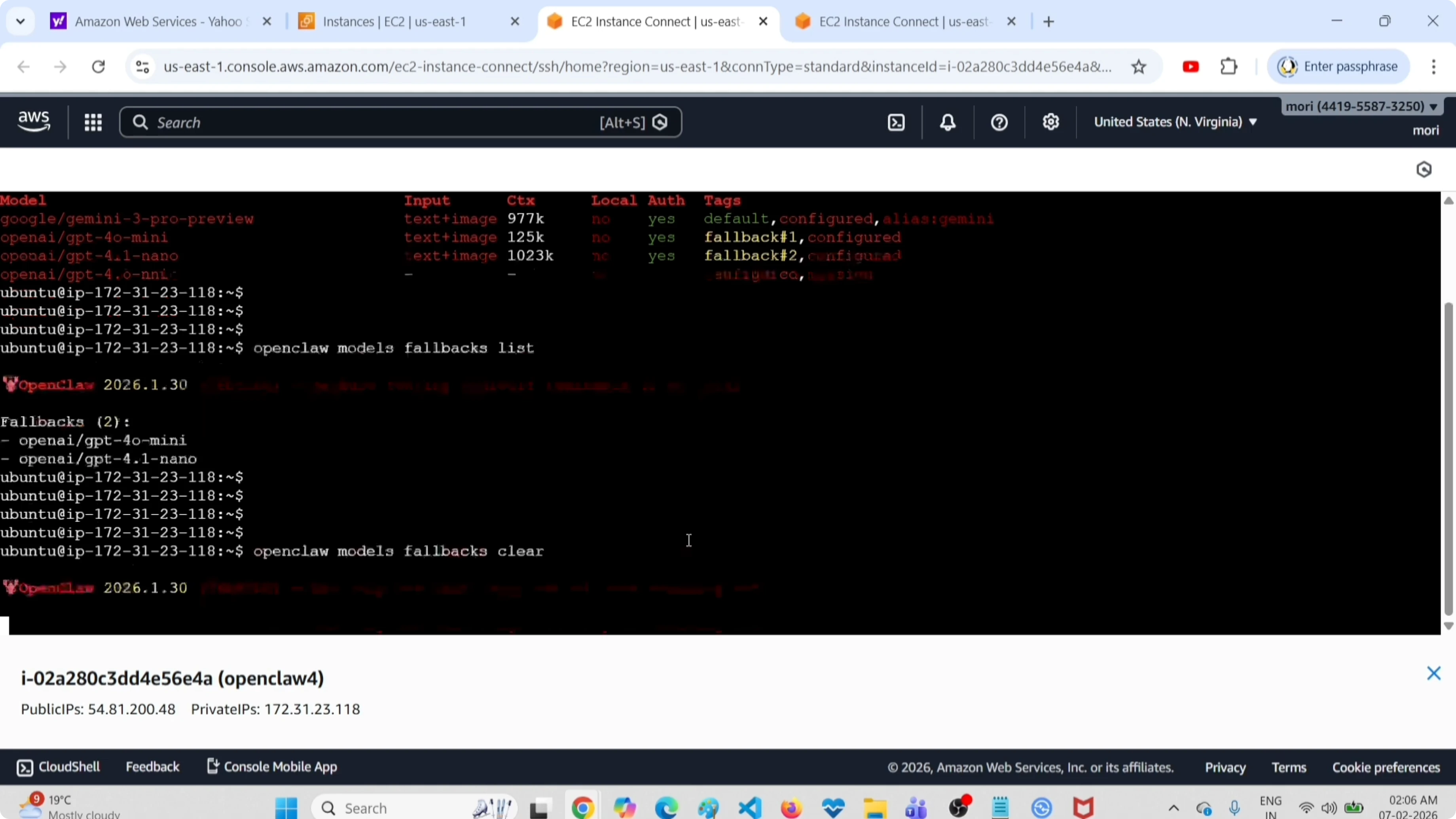 Screenshot from How to Easily Clear All Fallback Models in OpenClaw Tools at 65s