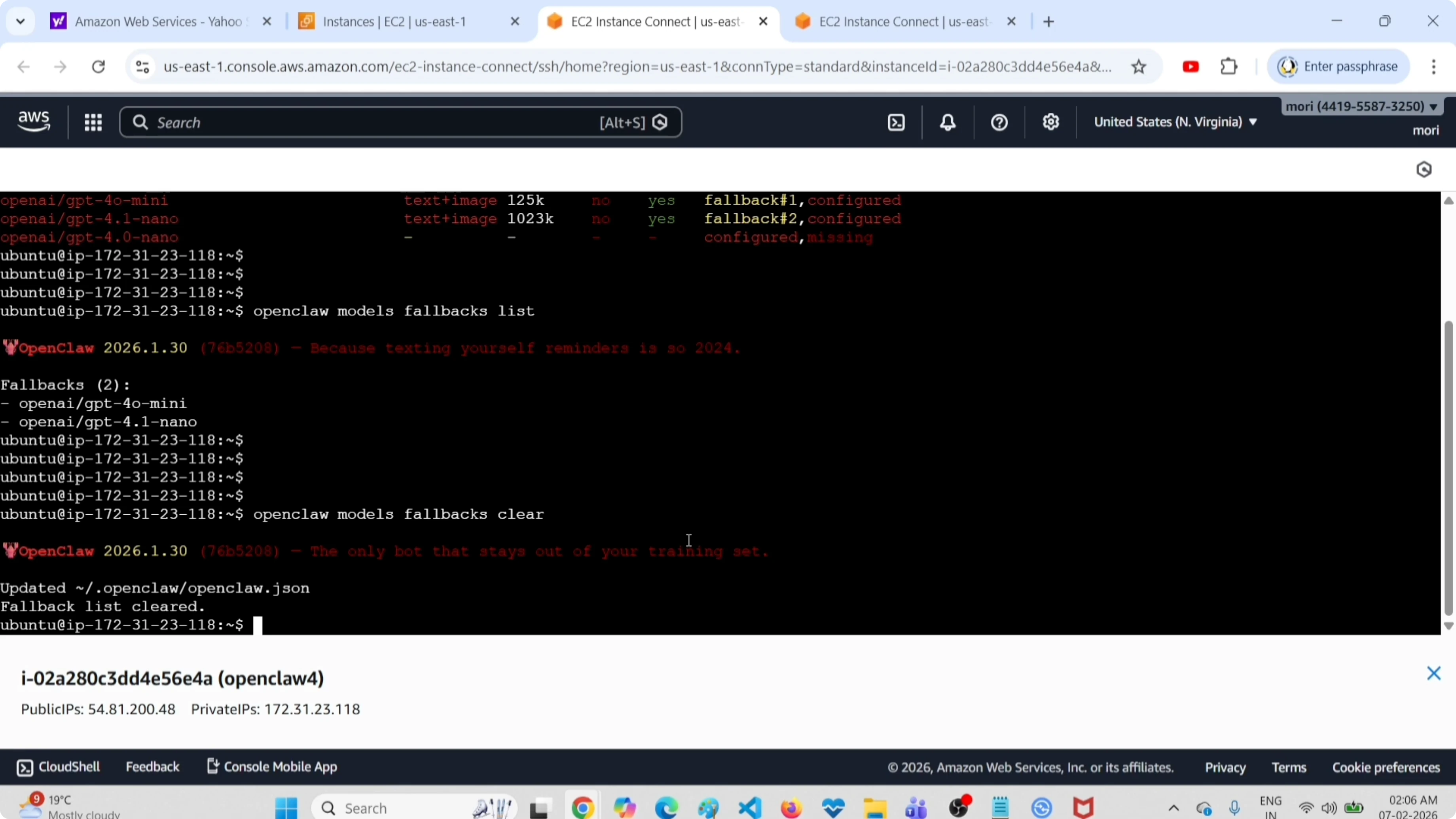 Screenshot from How to Easily Clear All Fallback Models in OpenClaw Tools at 70s