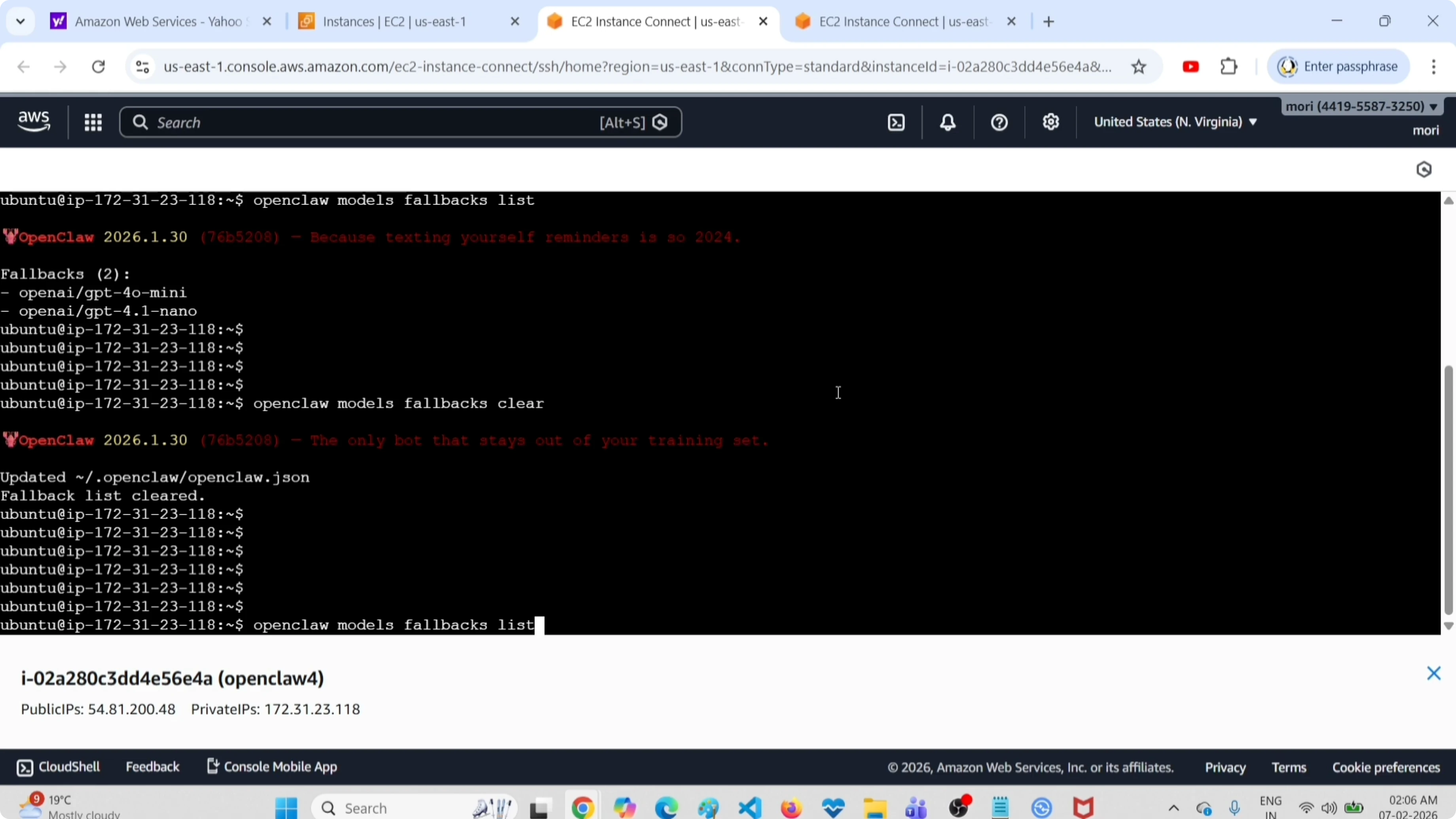 Screenshot from How to Easily Clear All Fallback Models in OpenClaw Tools at 97s