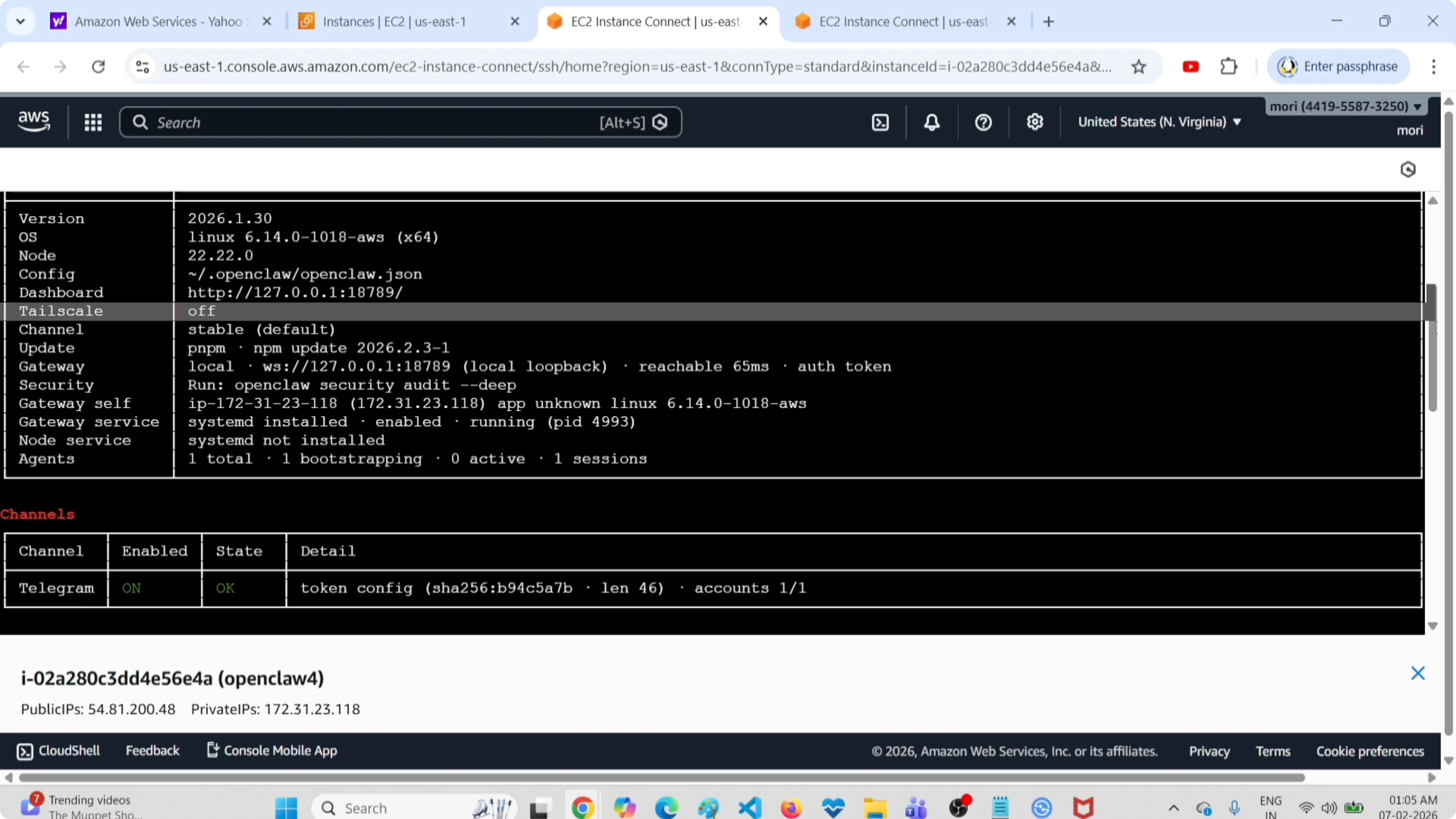 Screenshot from How to Automatically Fix OpenClaw Errors with ClawdBot & MoltBot? at 26s