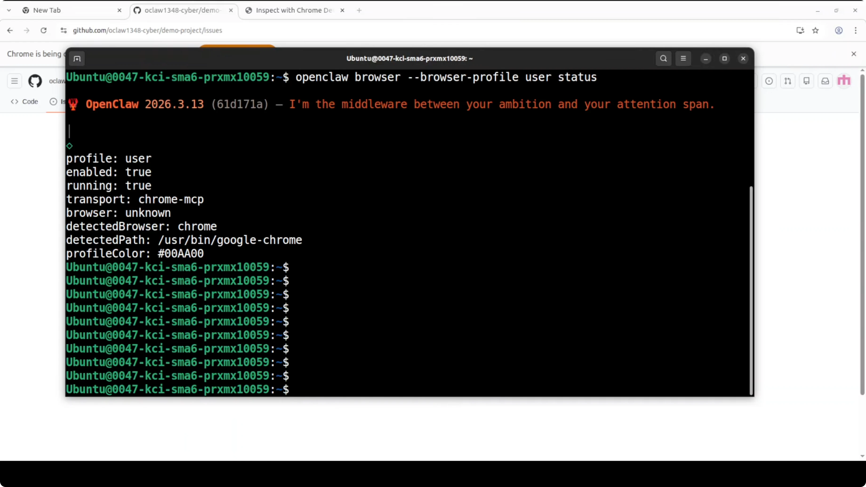 Screenshot from Full Browser Control with OpenClaw and Chrome DevTools MCP at 521s