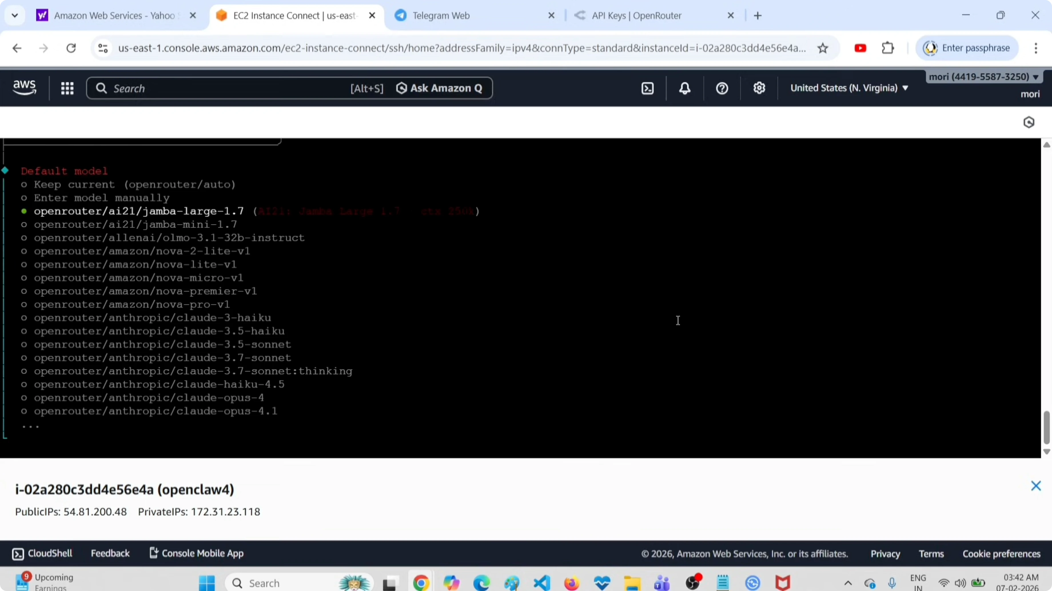 Screenshot from OpenClaw Setup and Uninstall Guide with OpenRouter API & Free Tools at 119s