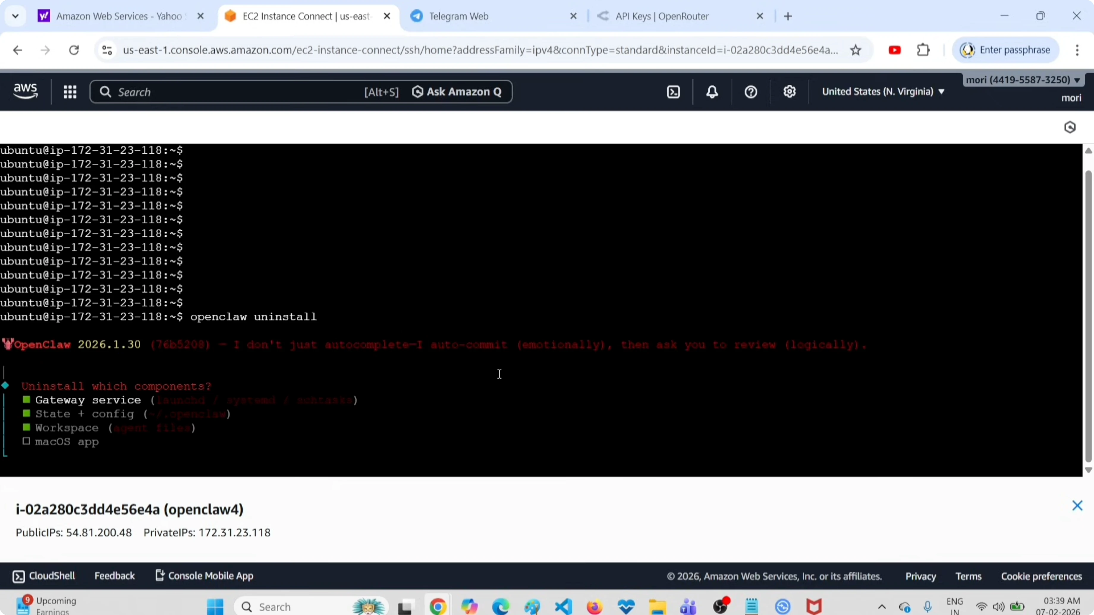 Screenshot from OpenClaw Setup and Uninstall Guide with OpenRouter API & Free Tools at 31s