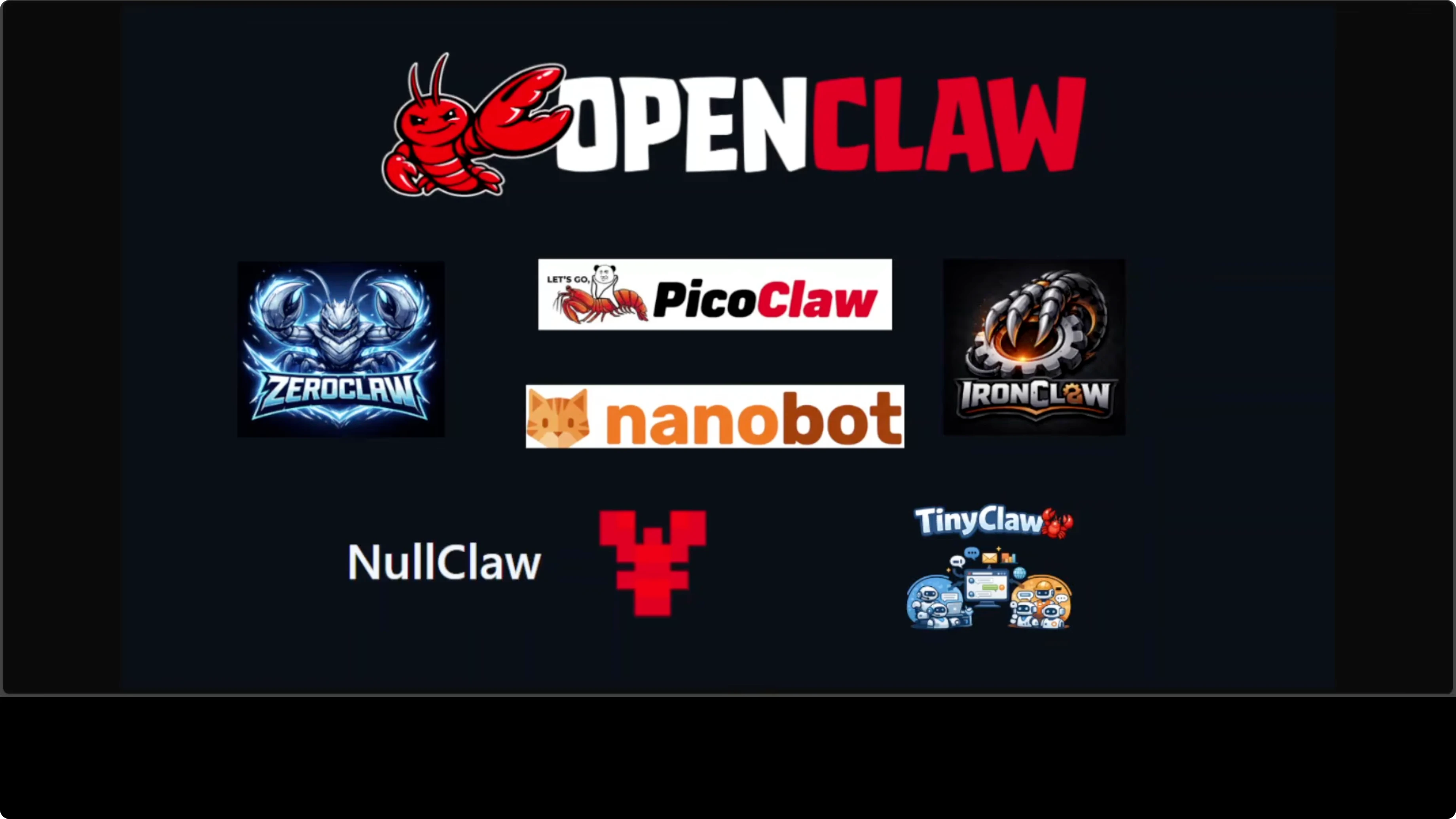 Screenshot from OpenClaw vs PicoClaw vs NullClaw vs ZeroClaw vs NanoBot vs TinyClaw at 345s