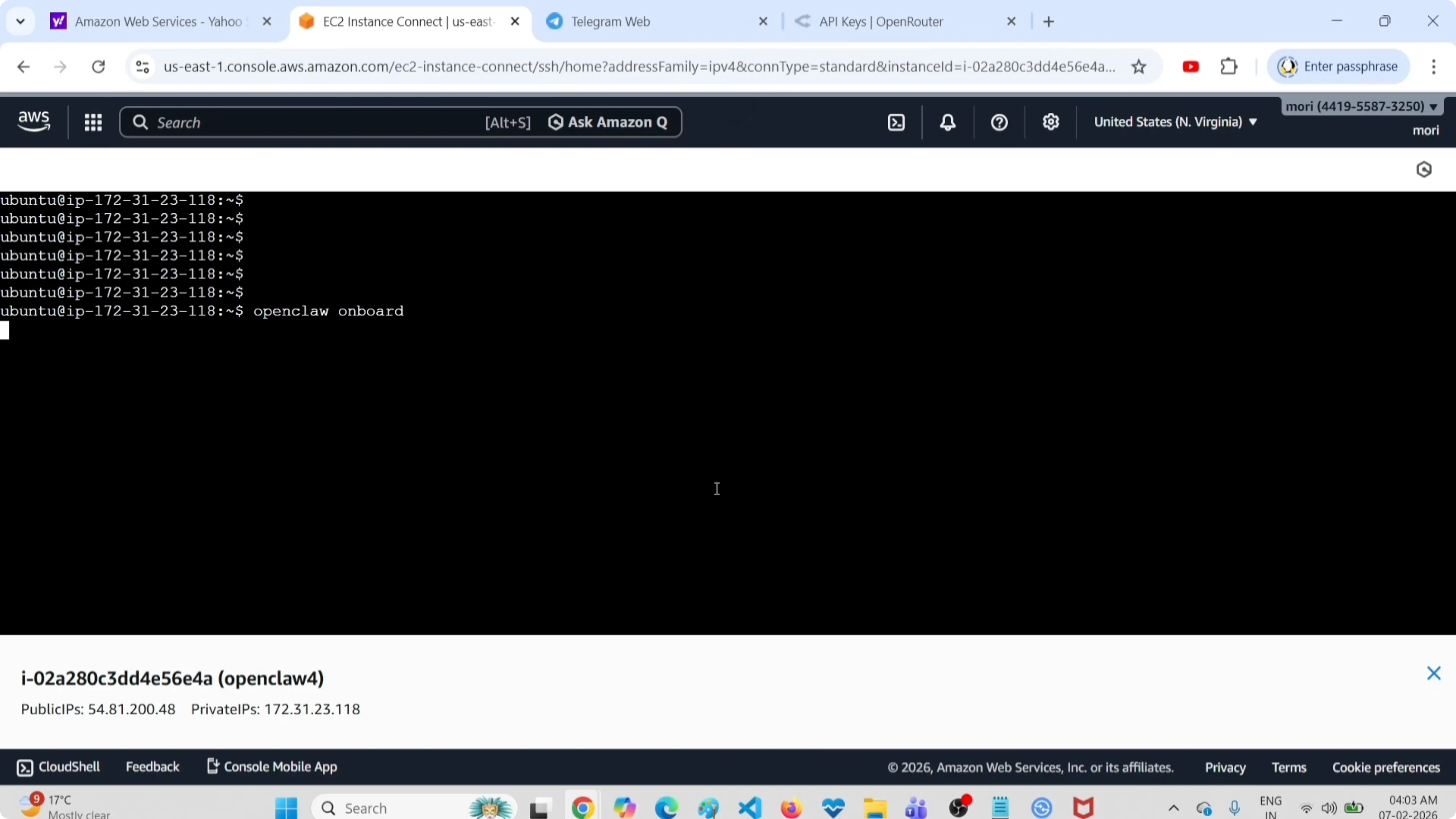 Screenshot from How to Set Up OpenClaw Without a Paid API Key or Providers? at 18s