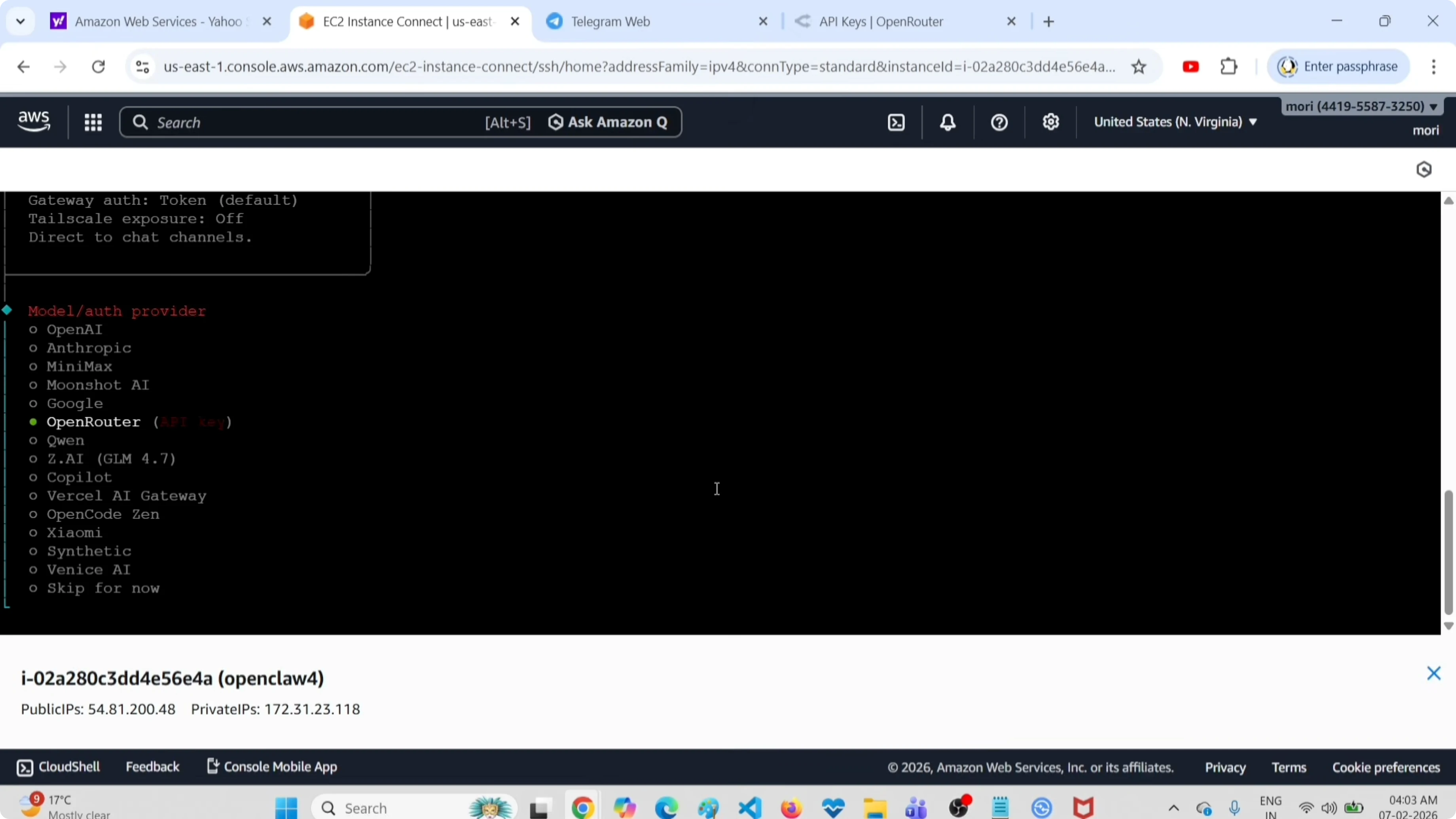 Screenshot from How to Set Up OpenClaw Without a Paid API Key or Providers? at 34s
