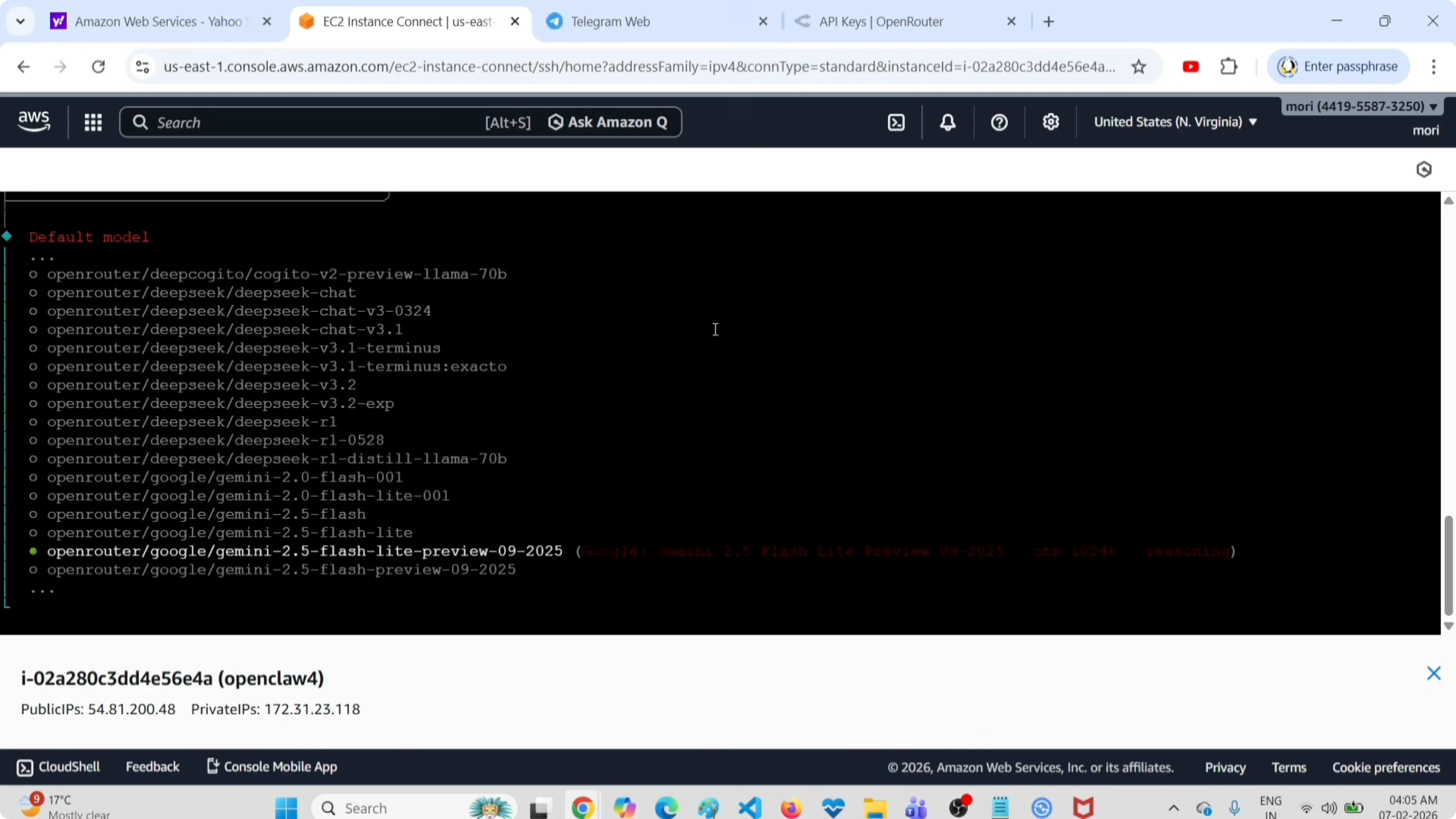 Screenshot from How to Set Up OpenClaw Without a Paid API Key or Providers? at 78s